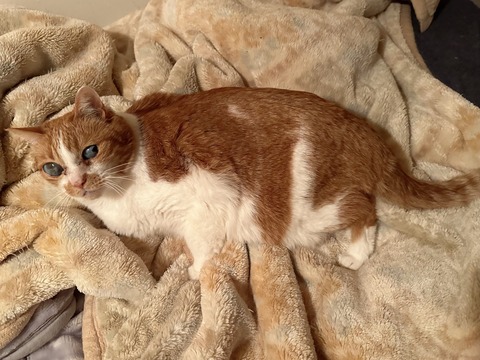 683ED0A0-72CF-4460-816E-9E912AEE436C