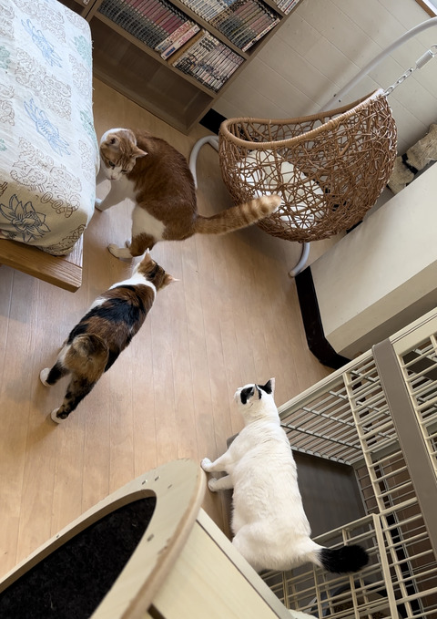 D61EC9EA-6C17-48D8-B56D-BDF065D0DD40