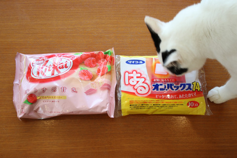 2018クリプレ_百合っ血さん