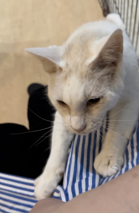 AEA36932-25B6-494F-92F2-25A94D33EB81