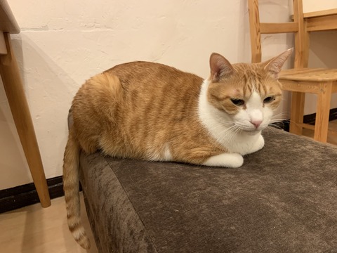 BC3892DA-90EC-40B5-AC1D-05161760391C