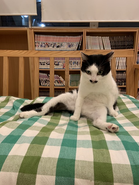 068584E9-7DE6-4D64-843A-F7204EA5A008