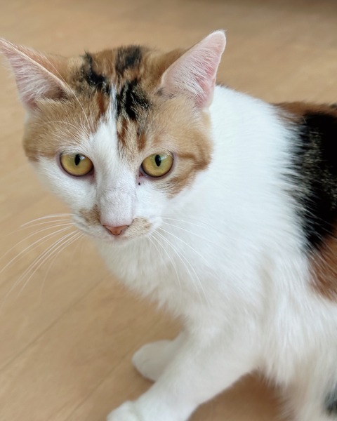 D8576A79-07C9-4AF3-A4BC-ACA6426097DC