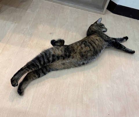 3FE7E553-1AE5-499B-80EE-BA8E61C0638C