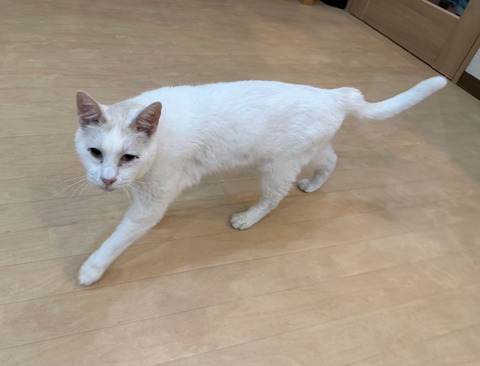 742CB707-339C-43DF-BD0F-F263EC5BA51B