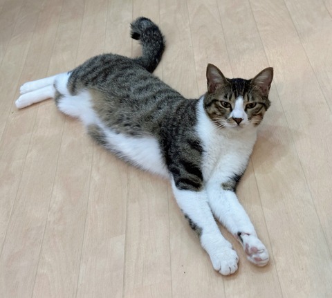 E6CD1CE5-4710-4919-8387-46D76C910C34