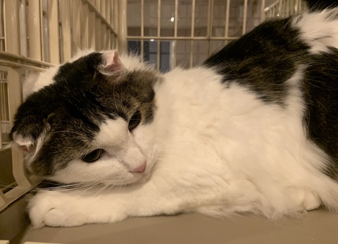 881B7A11-E203-4797-9386-2604D5BB87A7