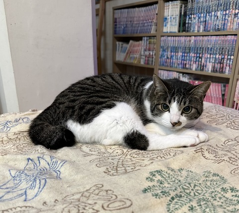 B4E53D67-DF55-46C2-826F-7A46CFA50CF7