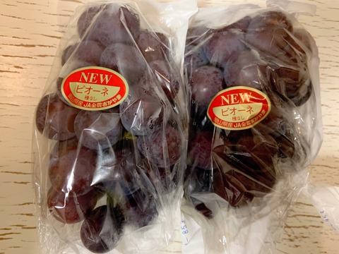 5920716B-BC49-4F3B-A8FB-E343DA49864B