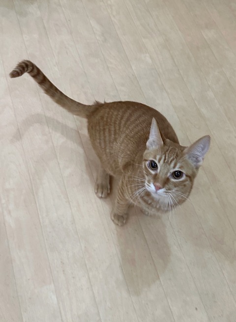 DD820966-B1A0-43B4-8EE4-E0E494204229