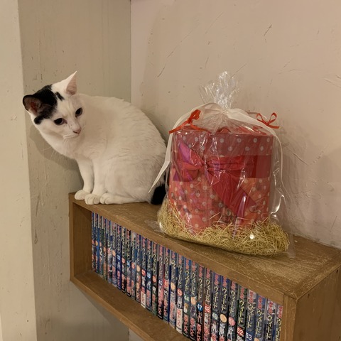 0531190F-50D2-4ED2-BAEA-24F19B4E4A2F