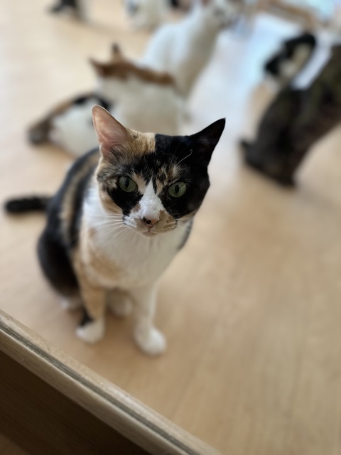 F6B25958-42BC-4083-981E-5201E91F32E6