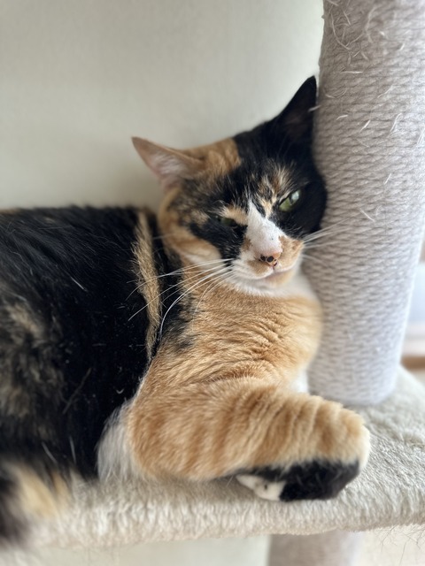 9053ADFF-58A2-4E29-A6C9-861A362A30BA