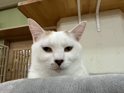 86761E7C-A80E-482C-81A6-8CB9601A0262