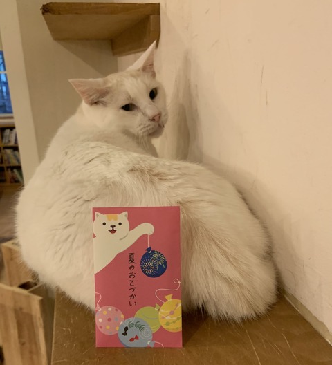 04E8607B-A893-4BD1-8852-10378E8D654D