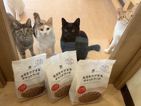 A02BF394-6D2E-4202-BFA3-2185F46F99DD