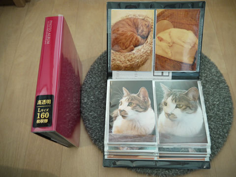 猫式ブログ~里親募集型猫カフェ