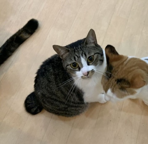 0E393D24-6918-4951-AA48-DF1F9E85B7FB