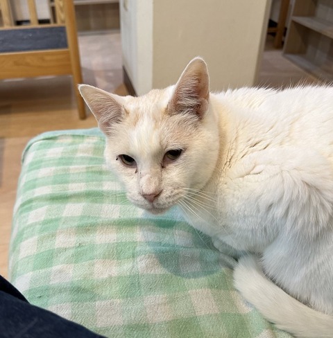 E5135BA8-8401-4B64-B3DA-EF8D4370ED60