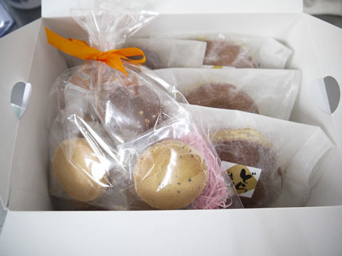 猫式ブログ~里親募集型猫カフェ