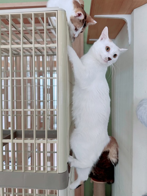 55AA91FC-DC34-4A44-B65B-99EB65E004DC