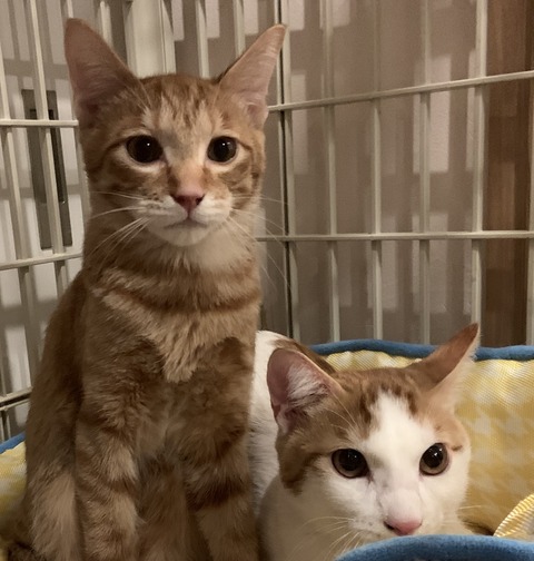 3EE5DD8E-66DB-4633-BD01-6E82722B08A4