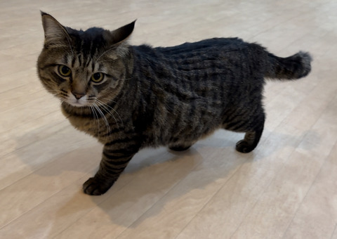 77EF1836-0B2B-4603-895C-27569898F8F9