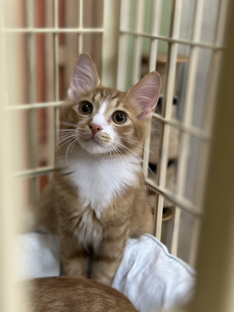 4A72CEC6-C861-44E1-AF23-5F1F836C0D5C