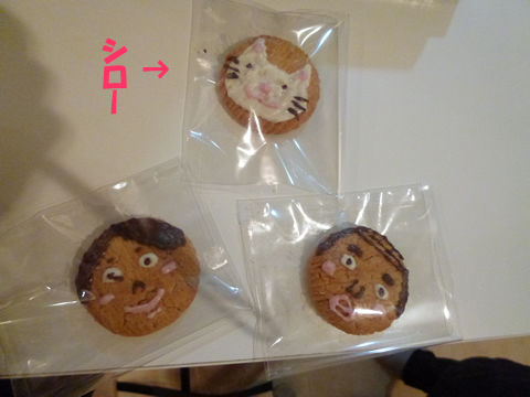 猫式ブログ