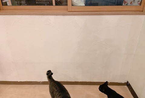 1C53CE22-AC47-401B-A3D8-AA2F9FADF7BC