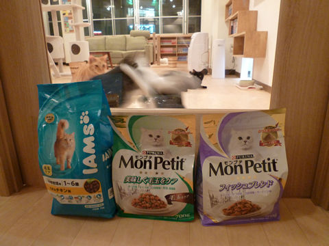 猫式ブログ~里親募集型猫カフェ