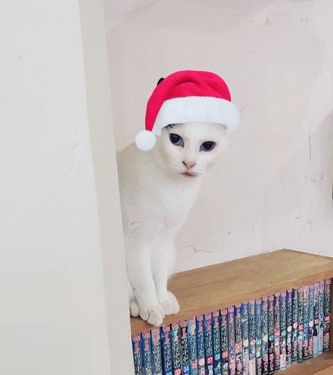 A8CC2713-1DE9-4454-A953-27CE069CFB0C