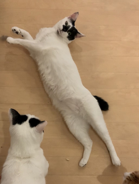 FC8FF15E-9666-4D63-AC4F-15A9D4126DB4