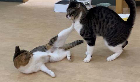 10B2138E-E3D0-4EF9-BB81-1BD1B1D04672