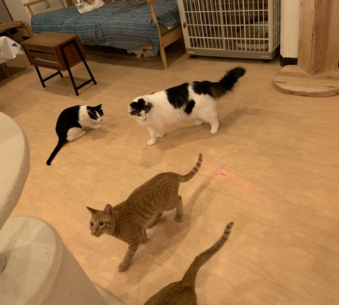 F8EA9C3B-8082-4FE8-98F1-26B60DDB9290