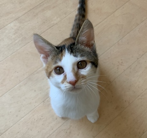 D8305A19-4503-4C44-9487-D73187FF5BD7