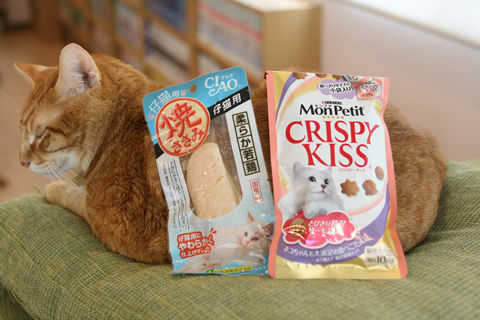 猫式ブログ~里親募集型猫カフェ