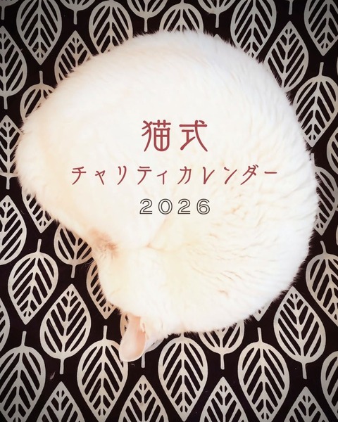 E36F25FE-16FB-45BA-8D2D-2BCEF56120E8