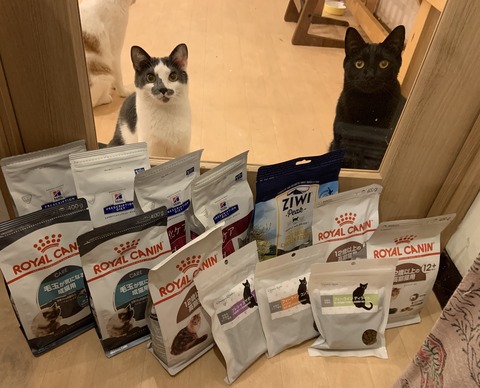 545CD20D-DF1A-4FD6-AF03-26295F9A24F4