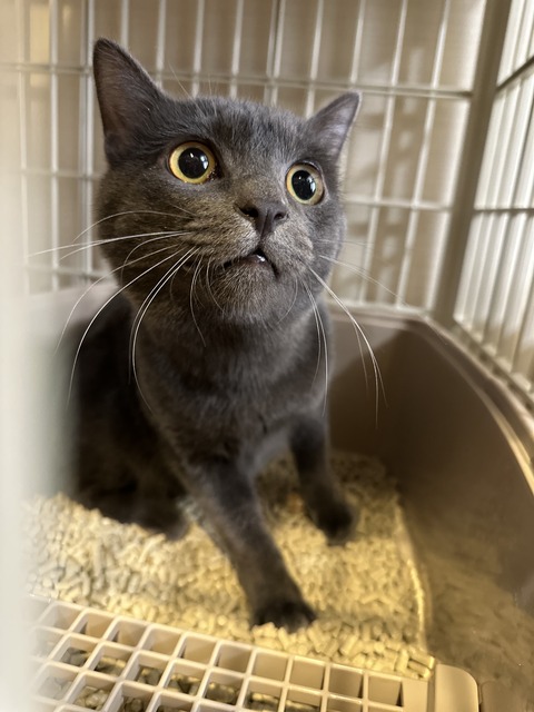 38D63F96-A8A4-4078-A918-7A128AEABCB6