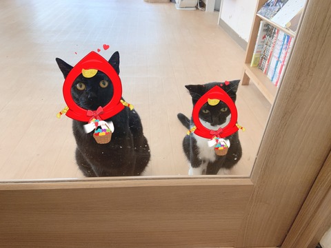 995493F3-37F5-4CA9-866E-1732467AE3AF