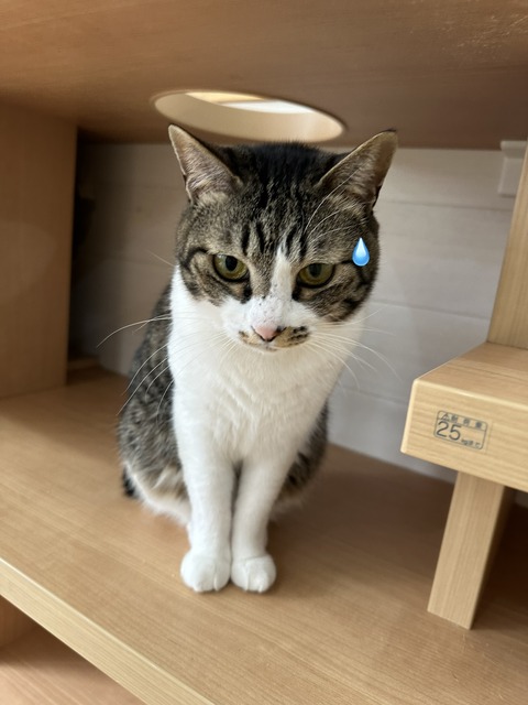 8801195B-31F3-4D51-AA1F-80122FA367EC