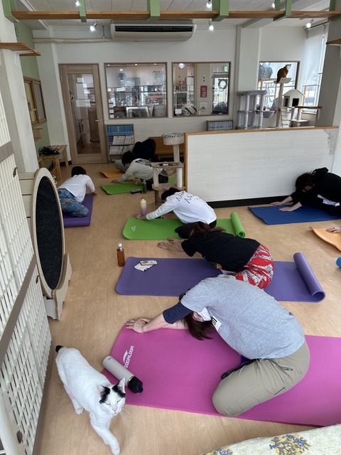 D7863F13-A1B4-4A91-9998-919D43E012DB