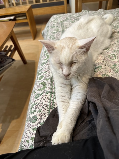 49C05C0A-A53B-4F09-B58A-934720F7ECE6