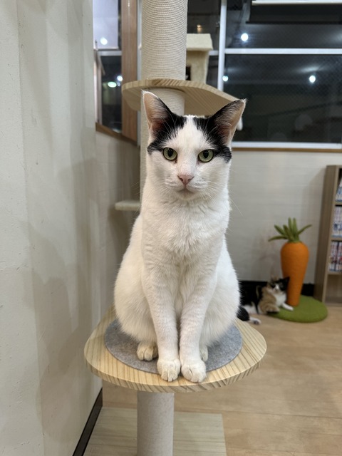 ED1710F8-2EC4-440E-B786-A8EC7DAAA60B