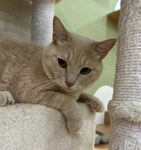 C065AB20-F5F4-4767-8AB2-168AD8EDECEE