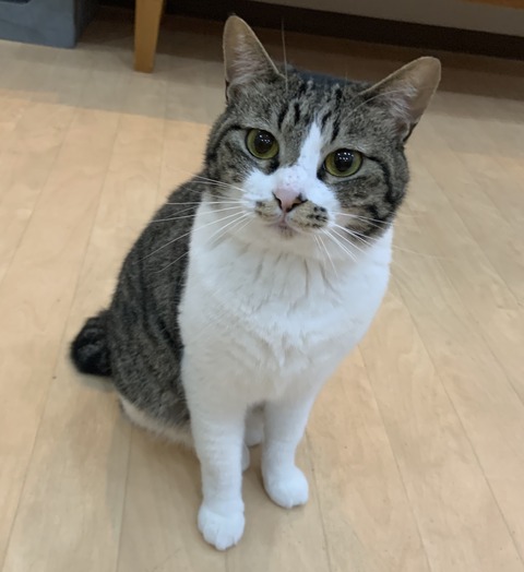 6688F1EF-9DB5-4D99-9C5B-8CAA3F26907F