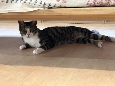 9F173003-811D-45A2-8D75-5A3E93E3FBD7