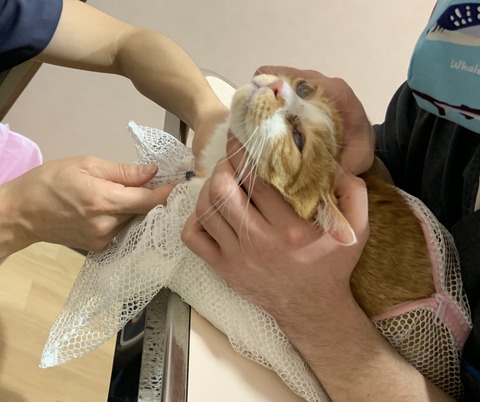 1F8D8166-A213-4307-A716-2B59276E1B1A