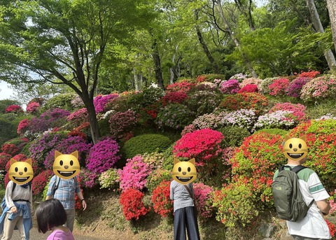 6355EBB0-32A3-4974-8C2F-F9443FE45C2B